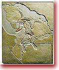 Berlində nümaiş etdirilən ən məşhur Archaeopteryx fosili
