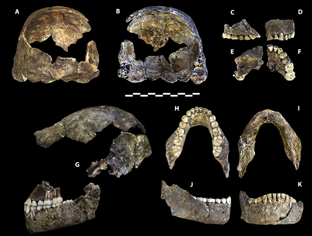 homo_naledi_2