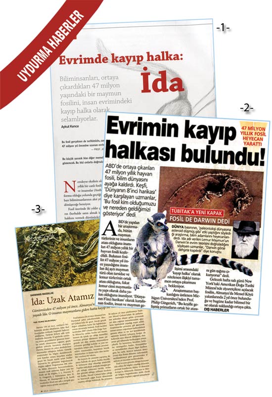 dtu4
