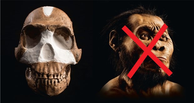 naledi2