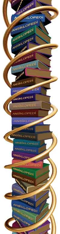 dna - ansiklopedi