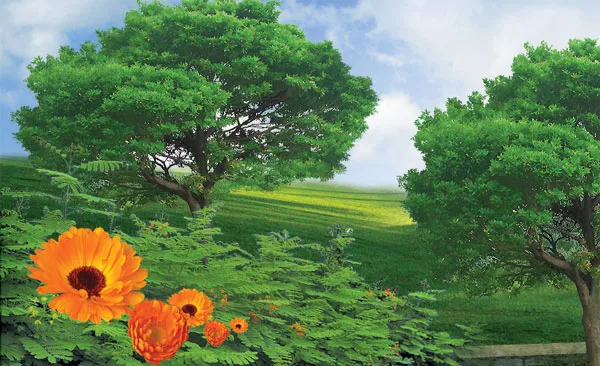Göylərin, yerin və onlarda olan hər şeyin hökmü Allaha məxsusdur. Allah hər şeyə qadirdir! (Maidə Surəsi, 120)