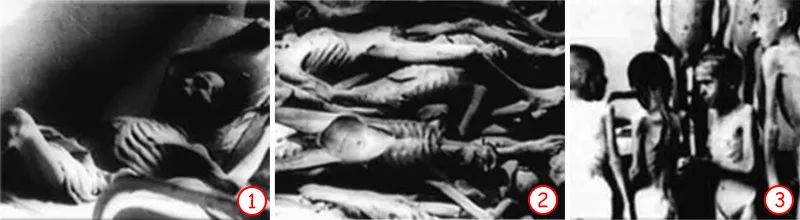 Nasist cinayətlərinin əsası: insanın "heyvan" kimi görülməsi. Həm Ernst Hekkel tərəfindən müdafiə olunan və 1933-cü ildən sonra nasistlər tərəfindən tətbiq edil