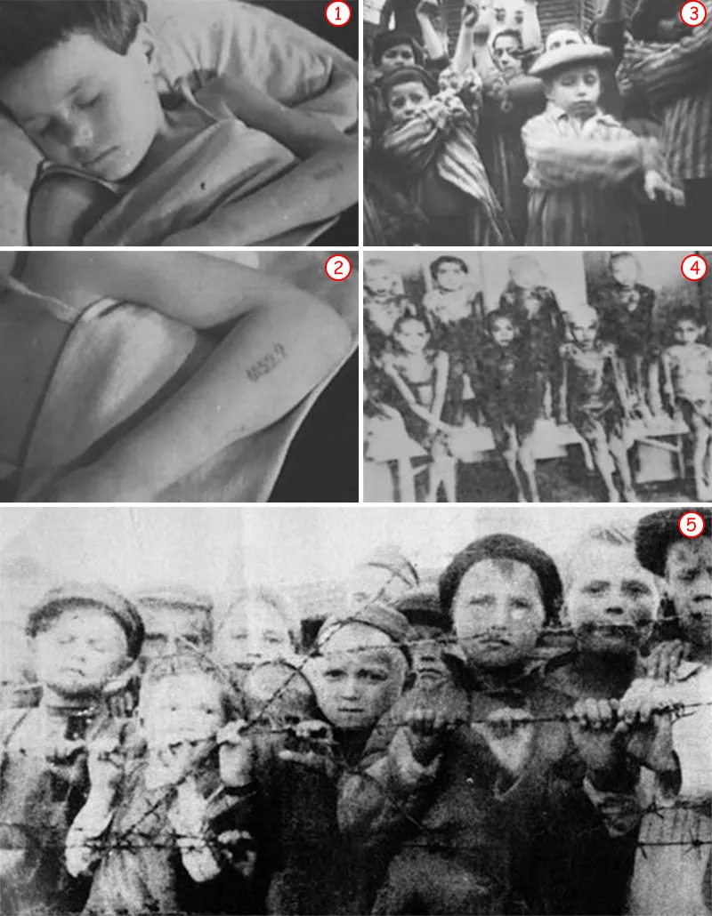 mengele'nin masum kobayları