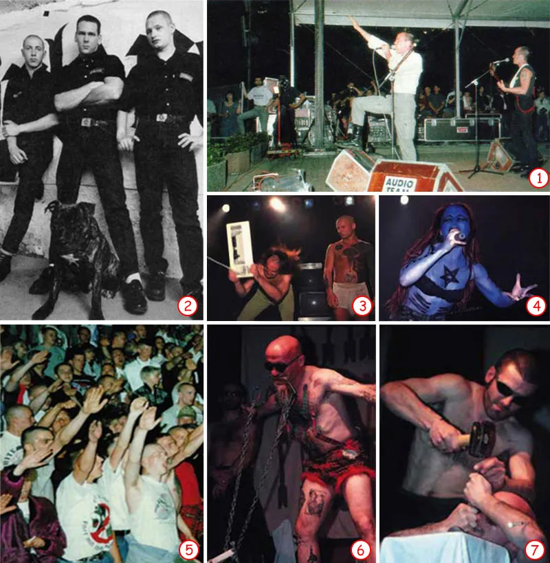 Musiqi vasitəsilə faşizm. Neonasist dalğa cəmiyyətin cahil və problemli təbəqəsini getdikcə təsiri altına alan bir mədəniyyət kimi inkişaf edir. Musiqi bu yeni 