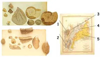 İngilis geologiyasının banisi kimi qəbul edilən Uilyam Smitin çəkdiyi bu geoloji xəritələr müasir geologiya elminin inkişafına böyük töhfələr vermişdir. 1. Üst 