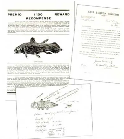 Coelacanth ve fosili