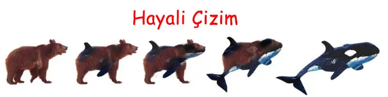 XƏYALİ ŞƏKİL İki fərqli canlı növünün xüsusiyyətlərini daşıdığı iddia edilən keçid canlılar tarixin heç bir dövründə yaşamamışdır.