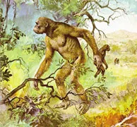 ramapithecus, hayali çizim