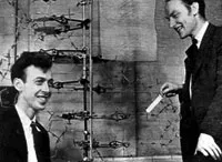 DNT molekulu modeli ilə görülən Watson və Crick